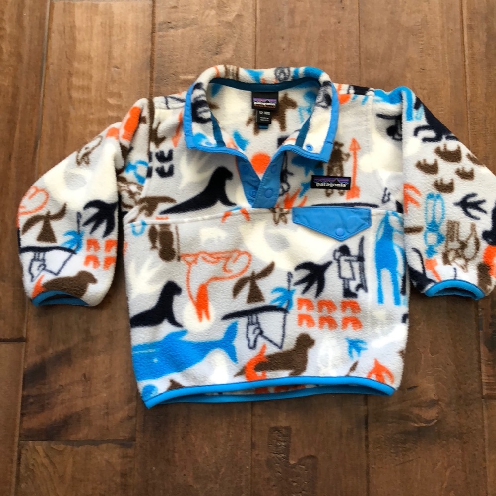 Patagonia synchilla pullover